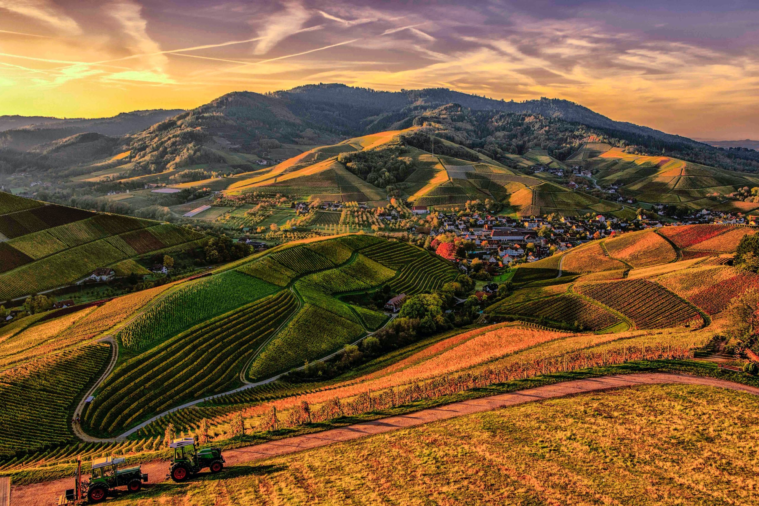 Rural Town Photo by Christian Heitz from Pexels